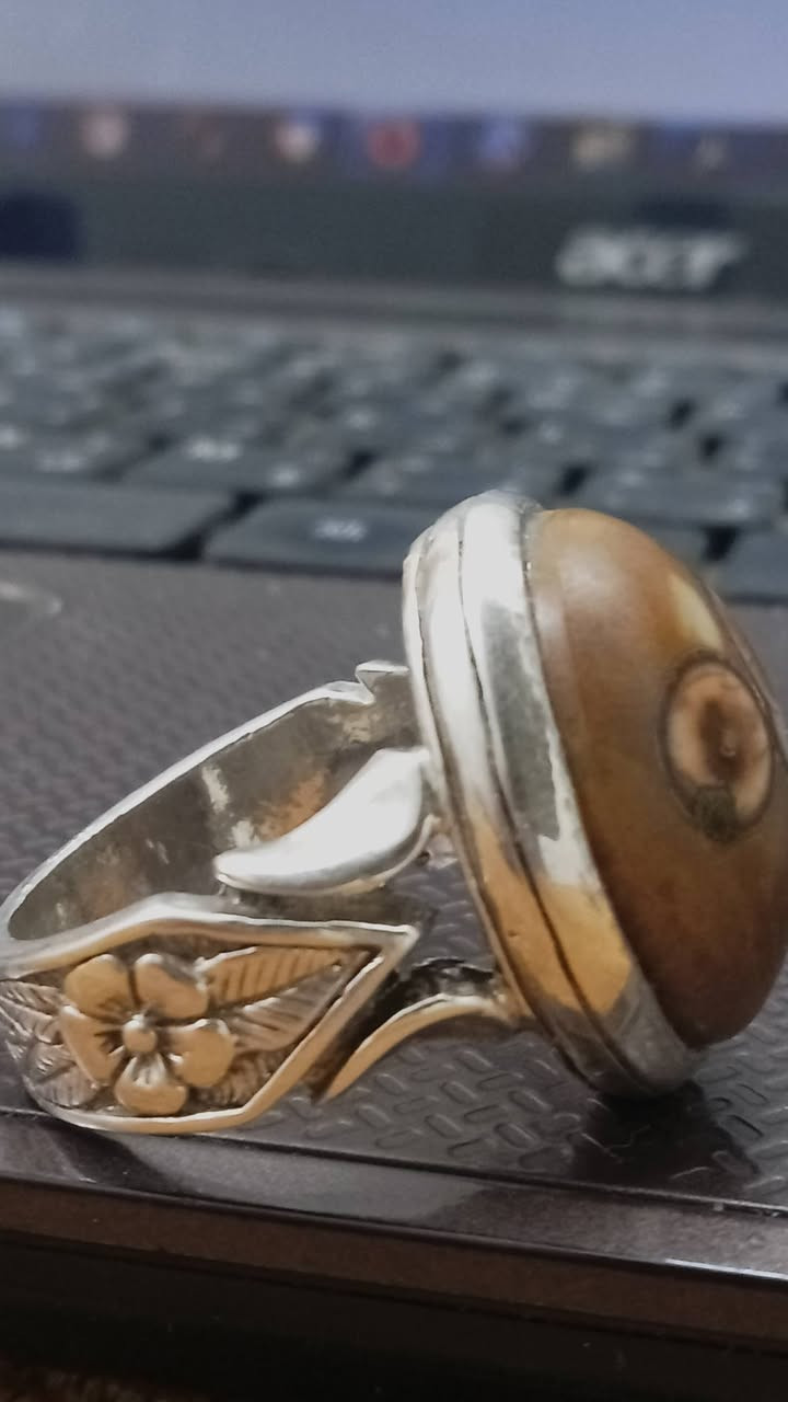 داودي مصور للبيع السعر خاص


**إذا كنت صاحب هذا الإعلان وتريد حذفه لأي سبب، رجاءا أرسل رسالة إلى الدعم الفني**