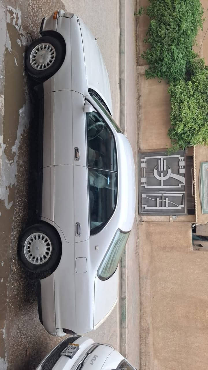 السلام عليكم بطه متصل
٩٢رقم بغداد انكليزي مشروع وطني تحول ثاني يوم باسمي سنويه ل٣٠ السياره حداديه نافظه امامي خلفي مبدل كاردن اكسل درايم شفت ربل بدي 
مبدل جعمقه بيه منضومه زنون تخم تاير باتري جديد
تبريد شغال السياره كامله عله اخر حبايه
ريمود تفتح تقفل
السياره حيل متعوب عليه
مصبوغه عام لجماليه مكفوله من ضربه قويه وكصه
مكينه ٣٠٠٠ في في تي لاتنقيص لاتبخير
مكفوله من كير ول مكينه
اذا مو نفس هاذه كلام الاتاخذه الله شاهد
مكاني كربلاء
السعر ٥٥ورقه وبيه مجال
الهاتف ***********
