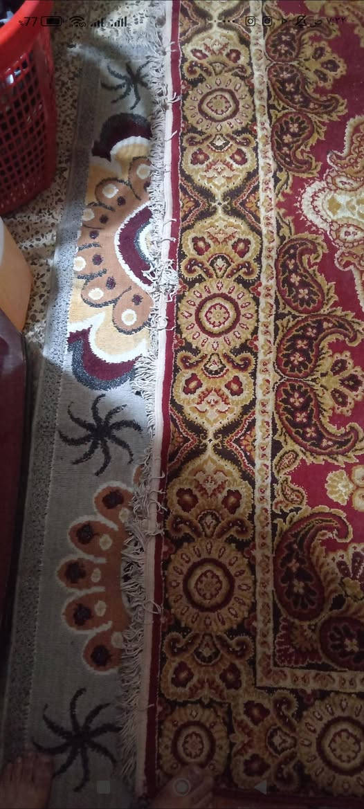 للبيع زوليه كاشان ايراني اصلي ثقيل صنع ونسيج يدوي بيها ضرر بصيط كلش القياس 2.5 / 3.5


**إذا كنت صاحب هذا الإعلان وتريد حذفه لأي سبب، رجاءا أرسل رسالة إلى الدعم الفني**