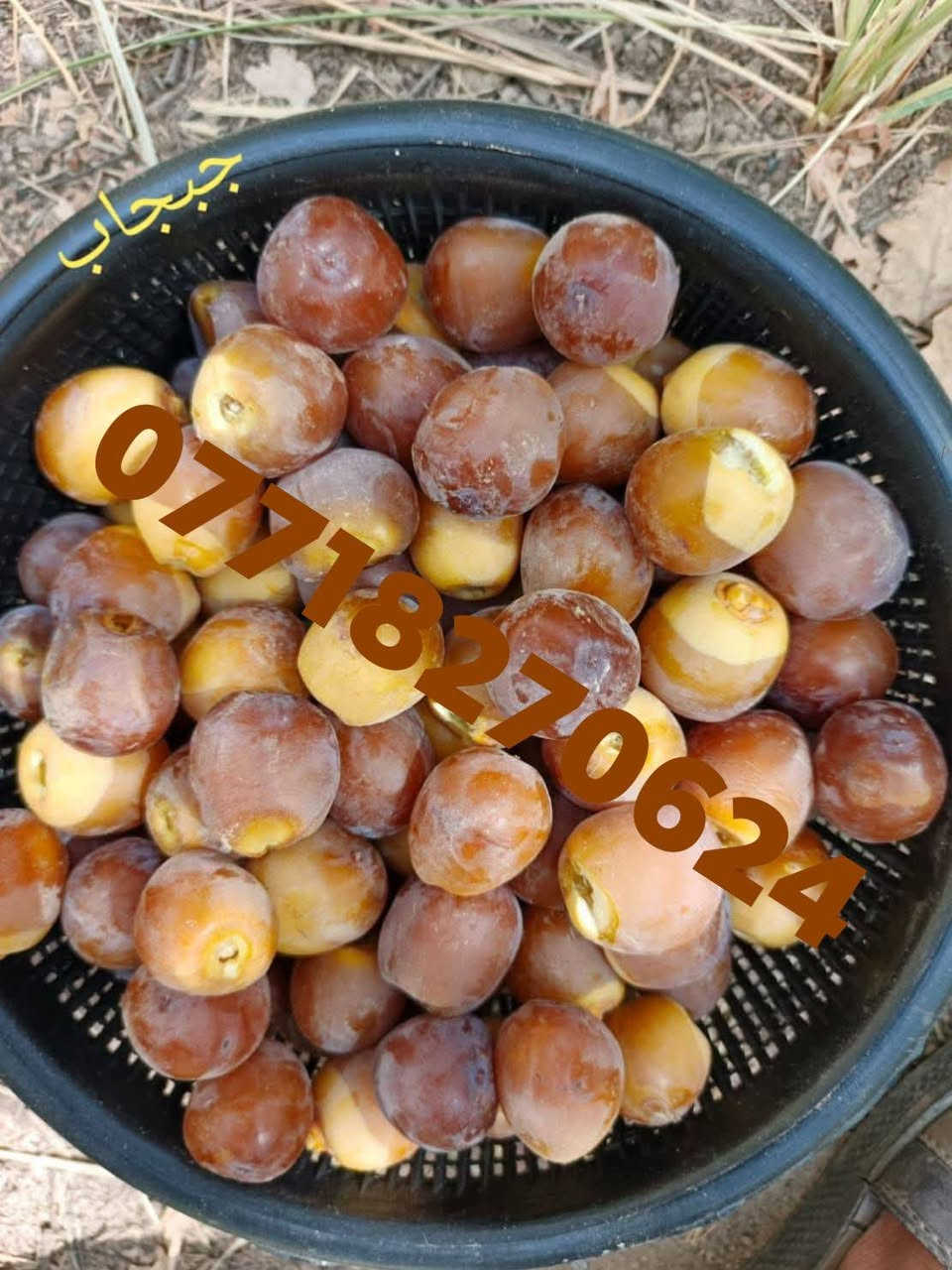 🌴🌟 تتوفر لدينا كافة أنواع الفسائل بأصناف مميزة ومضمونة 🌟🌴

الأنواع المتوفرة:
💎برحي 🪴 خستاوي 🪴 بريم 🪴 عمران 🪴 تبرزل 🪴 مكتوم 🪴 جمالي 🪴 اشرصي 🪴 بربن 🪴 حمراوي 🪴 شكر 🪴 شوثي أصفر 💎

💥 جميع أنواع الفسائل مقدمة بأمانة الله ورسوله، خاصة من مزارعنا.
💥 متوفرة بأحجام متعددة حسب الطلب، وتشمل الفسائل للأمهات والذكور.

🚚 توصيل لجميع محافظات العراق للطلبات 10 نخلات فما فوق.

📞 لمعرفة الأسعار أو الاستفسار، يرجى مراسلتنا من الزر اسفل المنشور او على الارقام:

📲 واتساب
📲 ***********

💼 جاهزون لتجهيز دوائر الدولة، المشاتل، والمزارع الخاصة والعامة.
✨ فضلاً، ندعوكم لدعم صفحتنا عبر المتابعة والمشاركة، وتحية حب وتقدير لكم 🌻🌻
