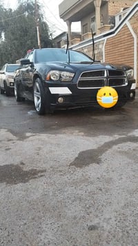 كفاله من الكص جاجر سوده 14 فول واحد عل واحد مياويه يعني فول اس ارتي قط...