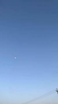 ماكس عدلة • منغولي • مراوس