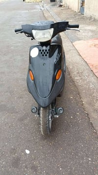 مراوس بيرانية • معرض كانساي • أوراق أصلية