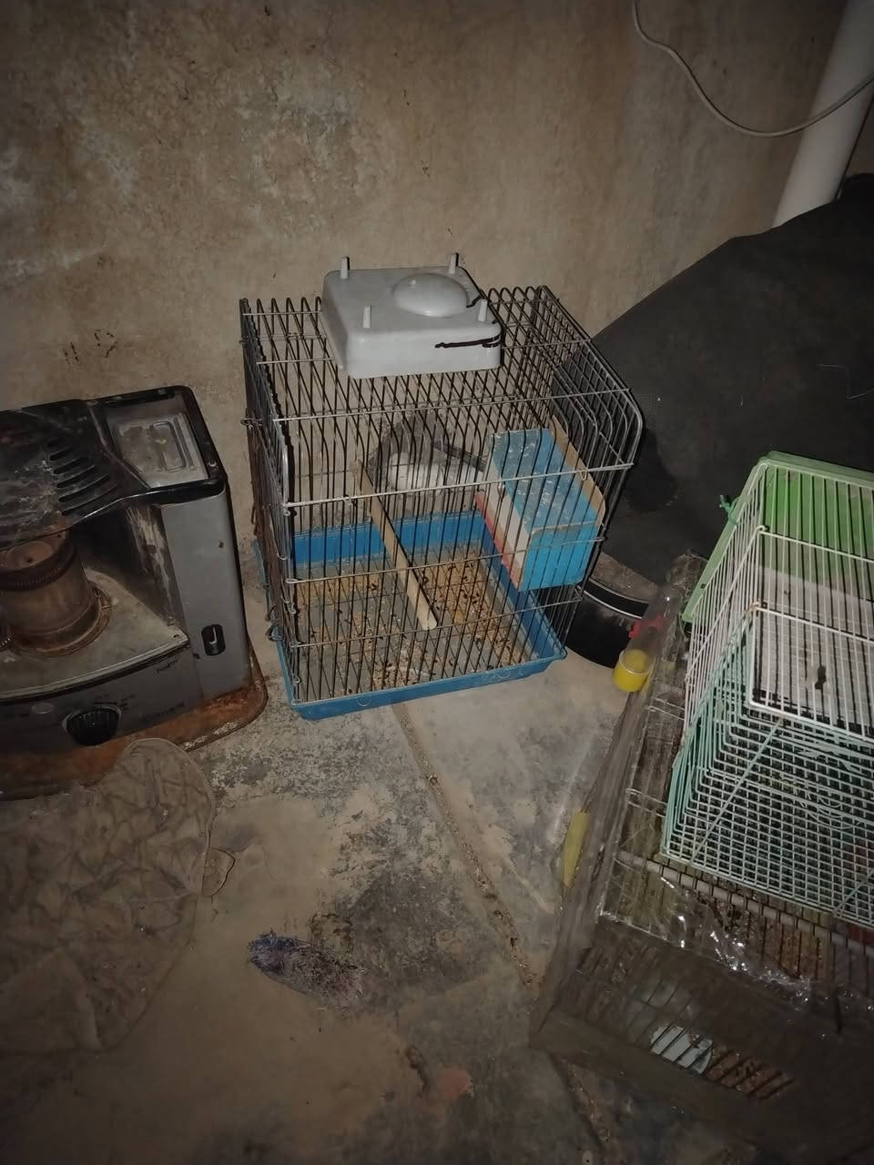 قفص جبير ب ٢٥ وبي مجال وزغير كلش ب ٣ ول وصط ب ٥


**إذا كنت صاحب هذا الإعلان وتريد حذفه لأي سبب، رجاءا أرسل رسالة إلى الدعم الفني**