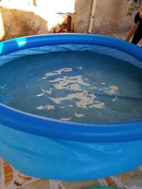 مسبح • حجم كبير • توصيل