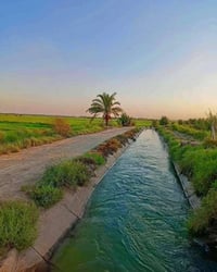 مزرعة • ٣ دوانم • قريب محطة السلوم