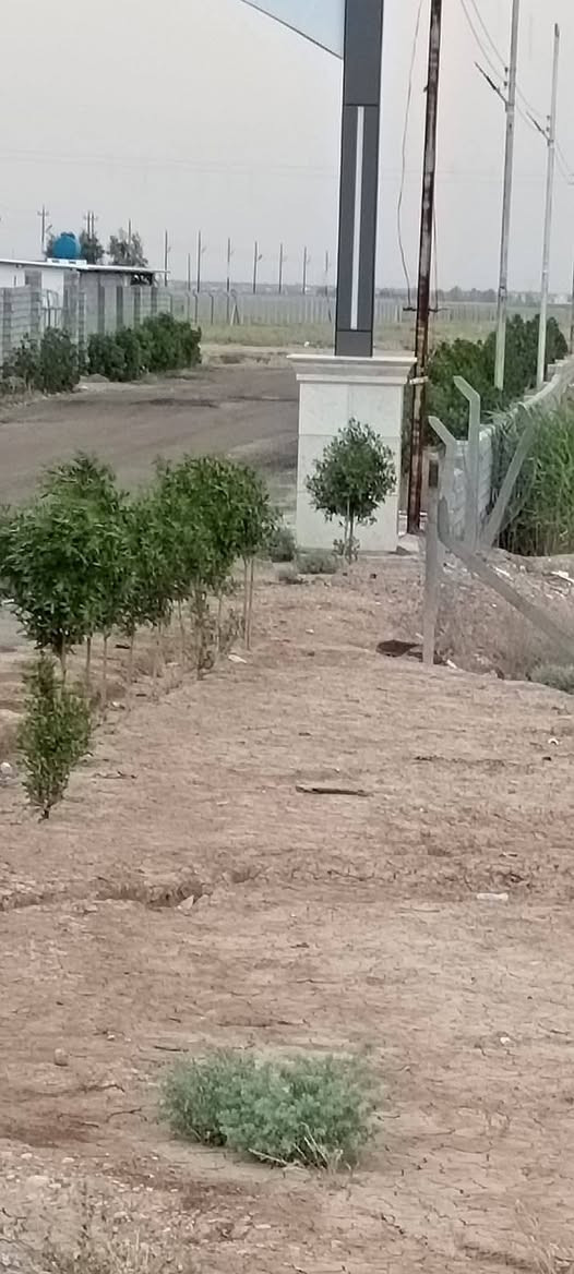 قطعة ارض 200مترللبيع في مجمع الفرسان طريق لحديد طابو زراعي سند25 بيع مستعجل ضروف خاصه السعر17 مليون ***********
