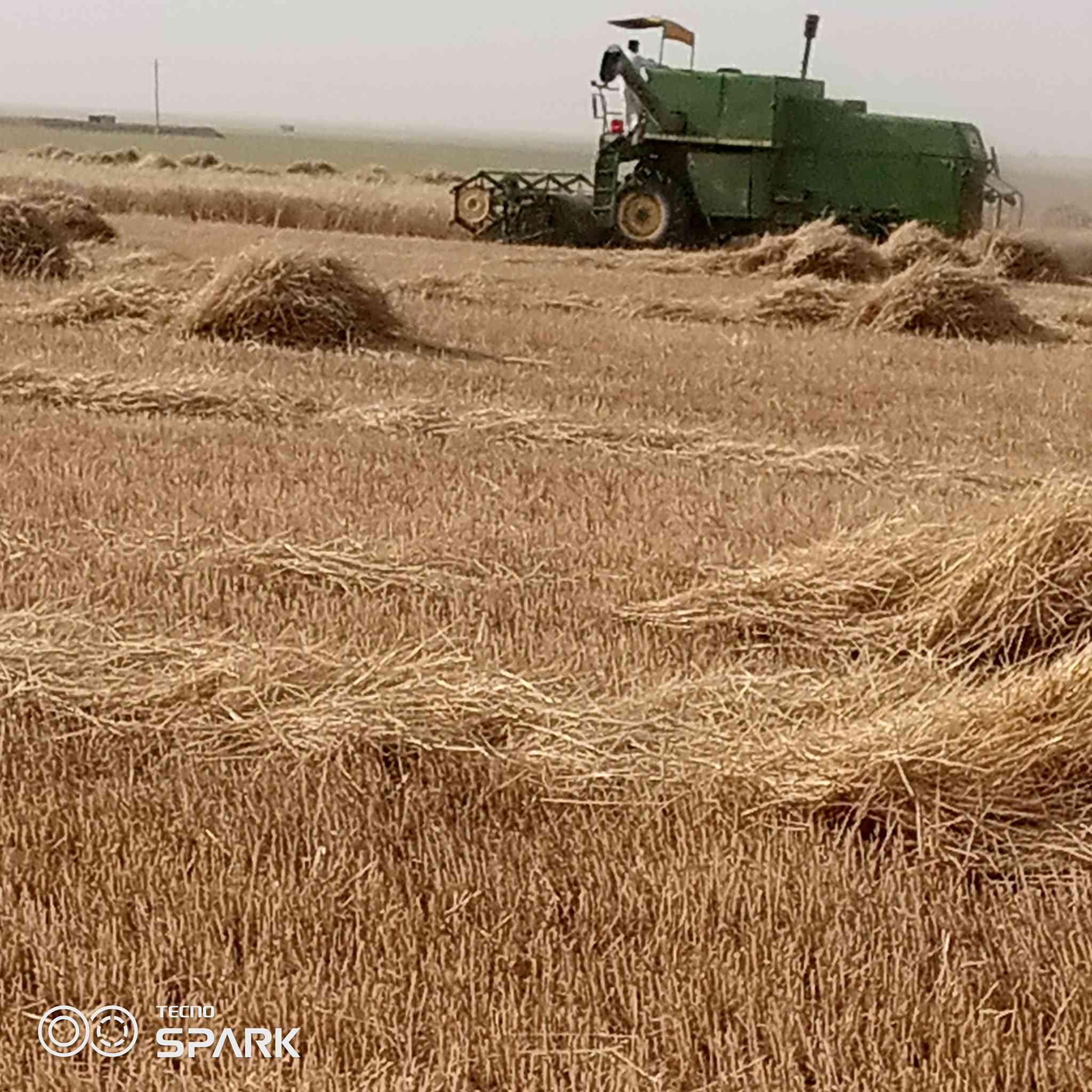 حاصدة جوندير للبيع موديل ١٩٨٠ كير محرك معمل كلو شرط عنوان قضاء مخمور قراج قريةشناوةللستفسار ***********
