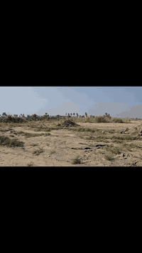 يا الله اللهم صل على محمد وال محمد عندنا عرض جديد دونم للبيع طابو زراع...