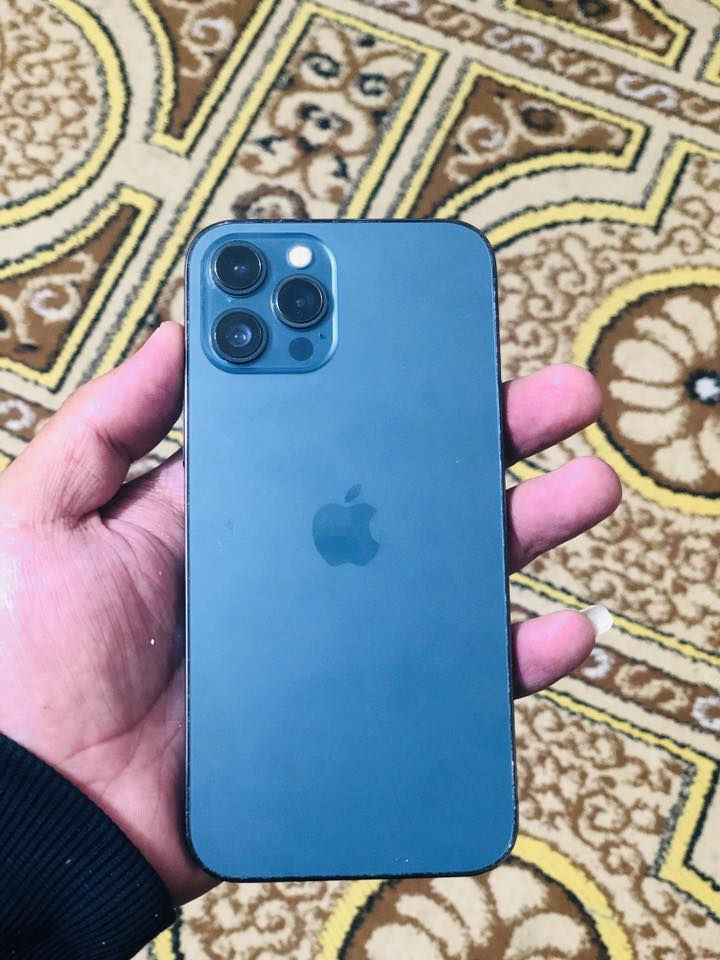 12برو ماكس جهاز بلادي بس الضهر مبدل اصلي بطاريه 92 للبيع السعر 350


**إذا كنت صاحب هذا الإعلان وتريد حذفه لأي سبب، رجاءا أرسل رسالة إلى الدعم الفني**