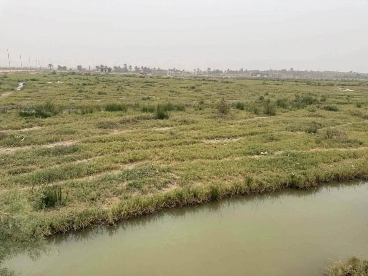 دوانم زراعي للبيع موقع مميز طريق سوق فضليه نزله مدرسه الإمام الحسن المجتبى نزله القريه مكان مخدوم سعر دونم مناسب جدا جدا المراسلة خاص أو الاتصال ***********
