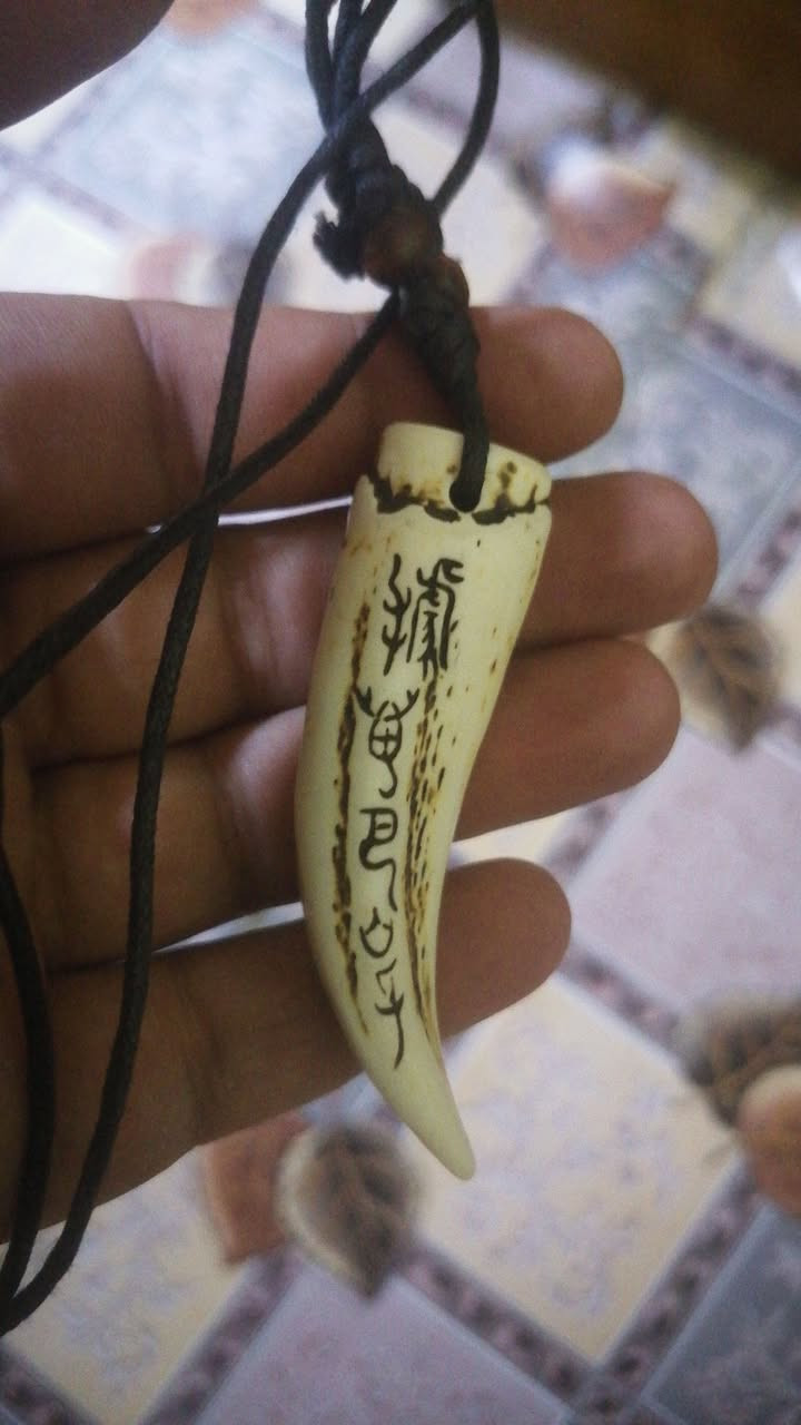 سن ذيب لبيع ***********
