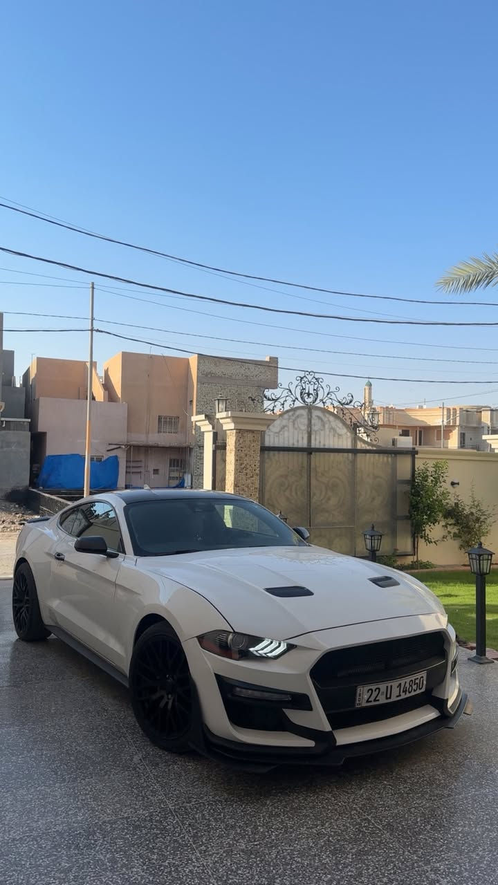 موستنك 2023 ايكو بوست
معروفه مواصفات الايكو حساس كامره رادار شاشه وضعيات قياده وضعيات ستيرن 
السياره اكزوز بلادي من امريكا 
حادثها نص بنيد نفسه معدل ومصبوغ وبداية الجاملغ فقط شبر تقريبا مكفوله من الايربكات والشواصي وموضحه صور الحادث 
السعر 177$ وبيها مجال 
مكانها الانبار الفلوجه 
***********
