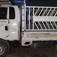 فحل للبيع موديل ٢٠١٢ رقم صلاح الدين الماني سنوية 28  سعر 105 تفاصيل اس...