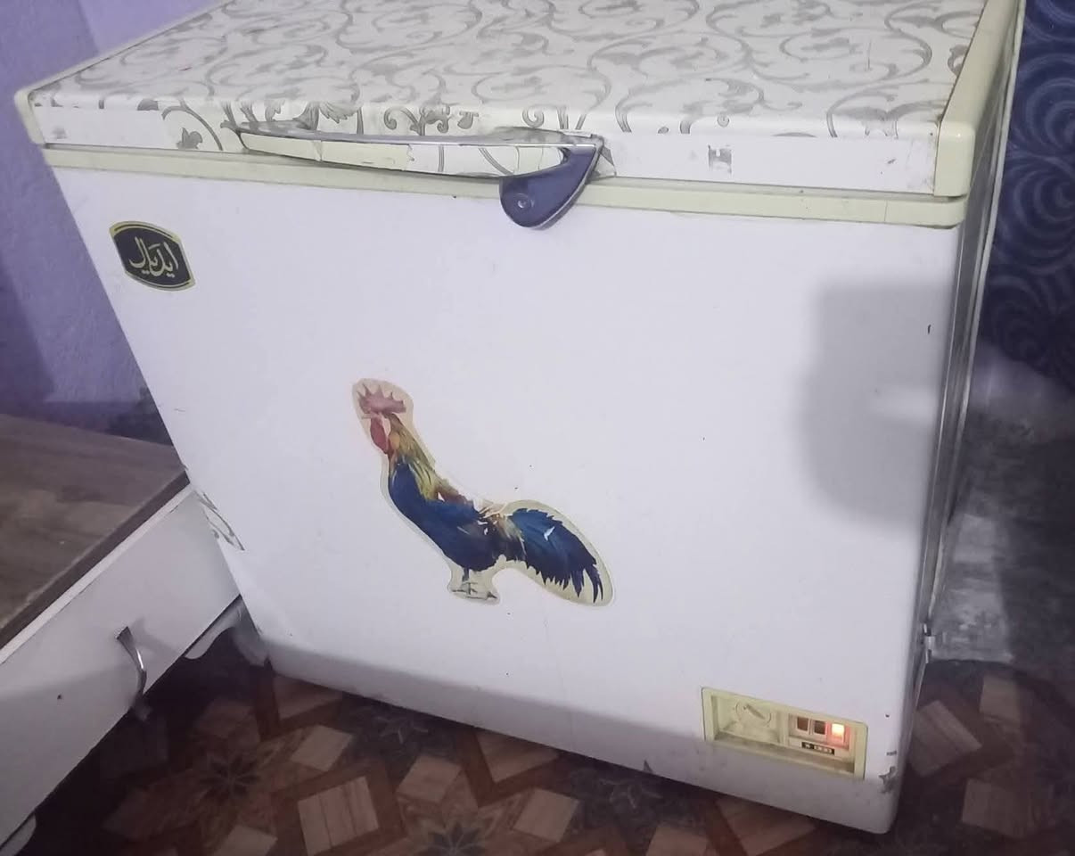 غراض للبيع
بغداد المحمودية
حي المرتضى يم محطه القطار
***********
***********
