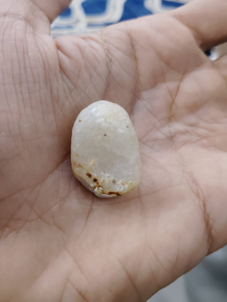 لبيع


**إذا كنت صاحب هذا الإعلان وتريد حذفه لأي سبب، رجاءا أرسل رسالة إلى الدعم الفني**