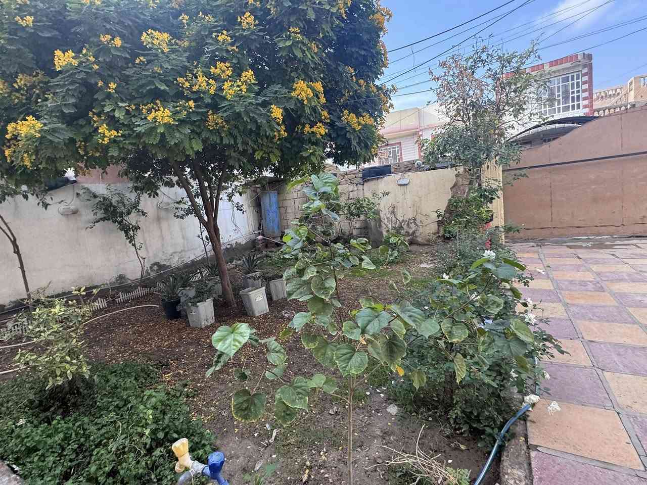 دار ومشتمل للبيع #طابو_صرف  في الحله نــادر  الثانيه خلف معمل النسيج
ــــــــــــــــــــــــــــــــــ
المساحــــــة / 412,5م طابو صرف
الواجهــــــــة /  16,5م
النــــــــــــزال /  25م 

     #مــــــحتويات _الـــــــدار🔻 
الدار يحتوي على (غرفتين نـــوم وصاله وكليدور ومطبخ ومجمع صحيات  وكراج كبير وحديقه

المشتمل يحتىوي على غرفتين نوم وكليدور ومطبخ ومجمع صحيات
__________________________

للأســــتـــفـــســـار الاتـــصـــال عـــلـــى 🔻🔻
 سيد رائد    0️⃣7️⃣8️⃣3️⃣1️⃣1️⃣6️⃣1️⃣6️⃣4️⃣1️⃣    📞             
سيد حسين 0️⃣7️⃣7️⃣2️⃣5️⃣6️⃣1️⃣2️⃣2️⃣6️⃣4️⃣   📞
                      آو وآتســــــاب☎️
_____________________________
#مــكـــتـب
  
   🧱🏬#عقــــارت_سيد_رائــد🏬🧱

#الـكــائـــن
حــــله  شـــارع نــــادر الــرئـــيسي  مقابل شارع الطب العدلي 
_____________________________
