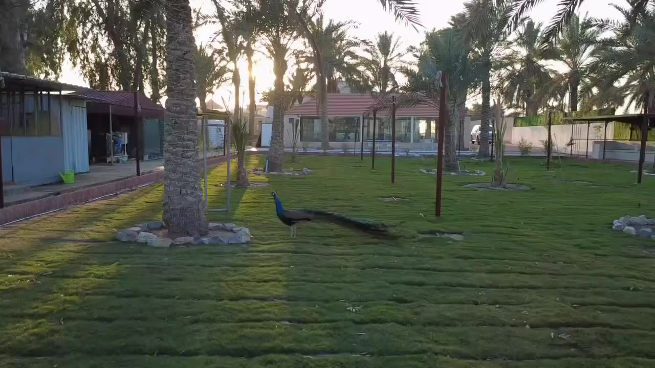 مزرعة الملوك - ابو غريب
مزرعه VIP كامله متكامله تحتوي على 

مسبح مغلق ماء بارد 🏊‍♂️🌊

العاب كبار كل من بليارد-منضدة-فيشة 🏓

حديقة ب مساحة 2500 متر تحتوي على كافة الحيوانات والطيور 🦅🐓🐧🦆

جلسات خارجية وداخليه متنوعة وحديثة 💺

غرف نوم عدد اثنين مع جلسه للمطبخ مطلة على الحديقة.🛌

كراج كبير جداً يتسع 12 سياره 

انترنيت وكهرباء 24 ساعه 

مكان للشوي كامل 🍖

العاب اطفال متنوعه وحديثة 🎯🎳

والعرض للافتتاح للشفت الرمضاني من 4 العصر الى 4 الصبح بسعر 

للأيام العادية 200 الف 

لأيام الخميس والجمعة والسبت 250 الف 

للحجز والاستفسار التواصل على 
***********
