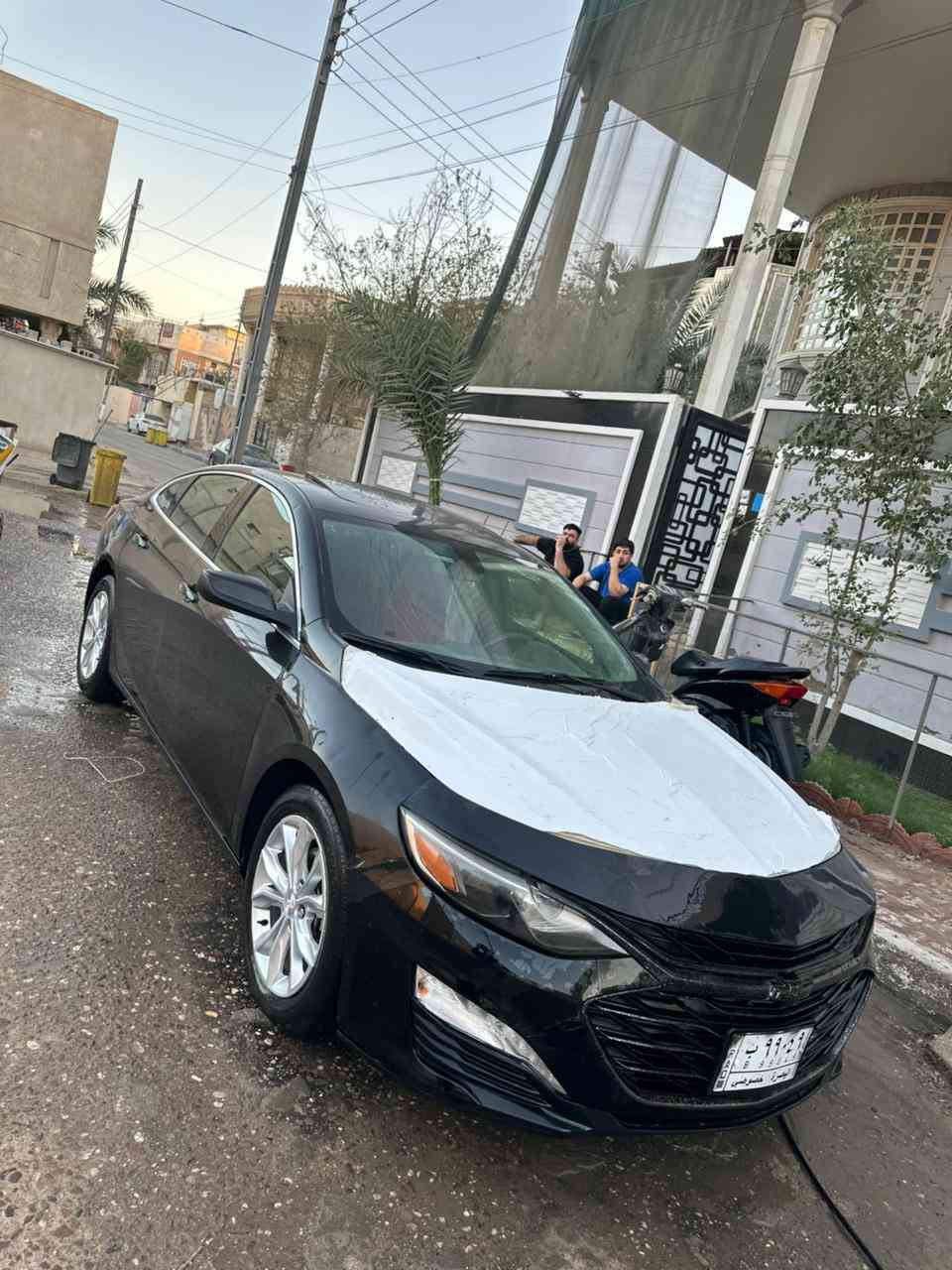 سلام عليكم 
ماليبو 2022 LT2 فول بانوراما رقم بصرة معوقين باسم بنية
السيارة حادث امريكا فقط الباب مال العبري وهنا بالعراق صار بيها حادث فقط الدعامية والبنيد مبدل يحتاجله صبغ والسونار مالتها موجود بالمنشور
السيارة ماشية 76 الف كيلو مو ميل فقط
السيارة عليها ادامة كاملة بلكات نوزلات عبوة فيتبم السيارة ناعمة وحلوه وجديدة 
مواصفاتها معروفة داخل نظيف وغرفة نظيفة 
حدادية جديدة
السعر 123 وبيها مجال بسيط للشراي او مراوس حسب القناعة مكان السيارة بصرة 
***********
