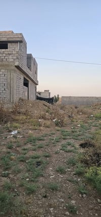 القوسيات جمعية النخيل • ١٢٥م • سند زراعي
