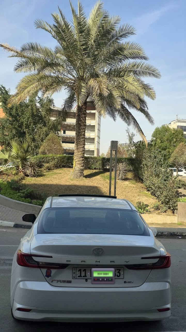 تيوتا كامرى زيرو موديل 2025
بحالة الزيرو 
تحويل مباشر رقم بغداد
كاميرا خلفية
دشبول لمس
صاج اسود
-رادار
-تحديد مسار
-تحكم ستبرن
مودات سياقة
محرك هايبرد
سنوية جديدة رقم بغداد
تحويل مباشر
بحالة الزيرو
قطعتين، تبريد.
حساس اطارات
ويل كب
مرى شفط
داخا، جلد اسود
بصمه تشغيل
بصمة عدد2
فتحه
شاحن لاسلكر
مقاعد جلد
شاشه اندرويد اوتو كار بلي
السياره بحاله الزيرو
المكان بغدا د
***********
