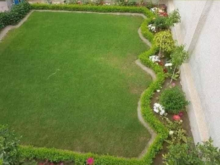 السلام عليكم ، عمل الديكورات وتصميم الحدائق
نشتغلك الحديقه من الصفر  ونخليهه واحه خضراء داخل النجف الاشرف فقط كل ماعليك تتصل *********** ... 

وعدنه عنايه تقليم الاشجار وقص الثيل وتسميد الحدائق
