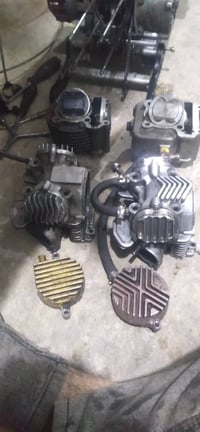 دراجة • امراوس عادي • سعر خاص