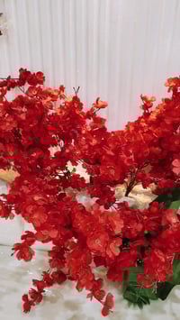 تزيين سيارات • أعراس • قضاء الفجر