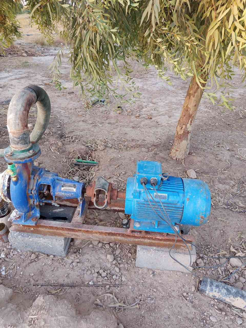 موطور كهربائي للبيع 20 حصان ثري فيز سعره 1,250خنزيره ضغط عالي 4*5 مع بورد حماية اطفاء وتشغيل اوتو ويدوي مع صونده 14 متر مع عكس عدد 2 للتصال على الرقم ***********
