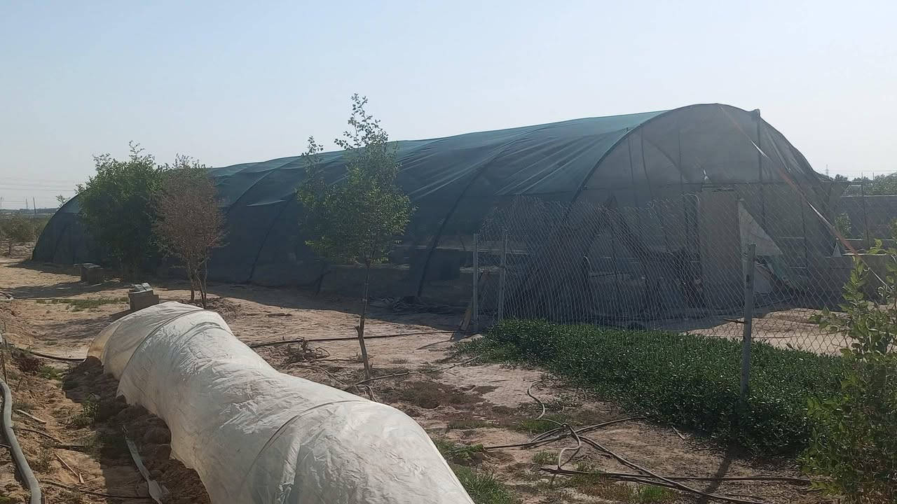 مكلف بالنشر هذا رقم راعيه ‏‪***********‬‏
بيت زراعي طولة 24 متر وأكثر عرضة 9 متر جديد مثل ماموظح بالصورة سعرة مليون وربع بدون شبك التور مكانه البصرة خور الزبير على شارع الغاز
