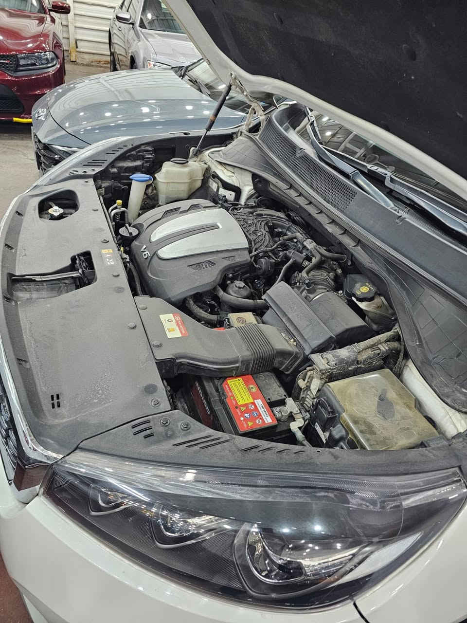 سورنتو 2020 خليجي 
فول مواصفات 
بنرواما
جنطه كهرباء فول ماعدا فور درايف 
مكفوله من صبغ 
بيه بارد فقط 
بجاملغ الايمن شي قليل
وبارد بالدوسه مال الباب الخلفي عكس سايق 
بارد حافه صندوك كلش قليل 
دعاميه مبدلة والاصليه موجود 
ماشية ٥٠
رقم بغداد 
عنوان بغداد الاعلام 
سعر 255
***********
