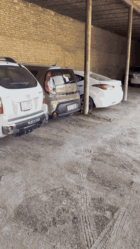 صلوا على محمد وال محمد
سوبر ٨٥ بغداد باسمي تحويل مباشر بإذن الله 

بدون قطره صبغ 

بارد بمكانين جاملغ خلفي وتحت الترايش بين البابتين 

محرك بلادي بي دخان خفيف مرات يرادلها لاستيك ولف 

كير عادي 

تبريد خلفي امامي ثلاجه خلفيه كلها شغاله 

كهربائيات كلها شركه شغاله 

صدر خلفي امامي مع دبلات كله شركه جديد 

سياره مخدومه ومحافظ عليها اني المالك الرابع الها 

موجودة في ديالى بعقوبة 

السعر المطلوب ٩٥ 

للاستفسار الاتصال على الرقم التالي 

***********
