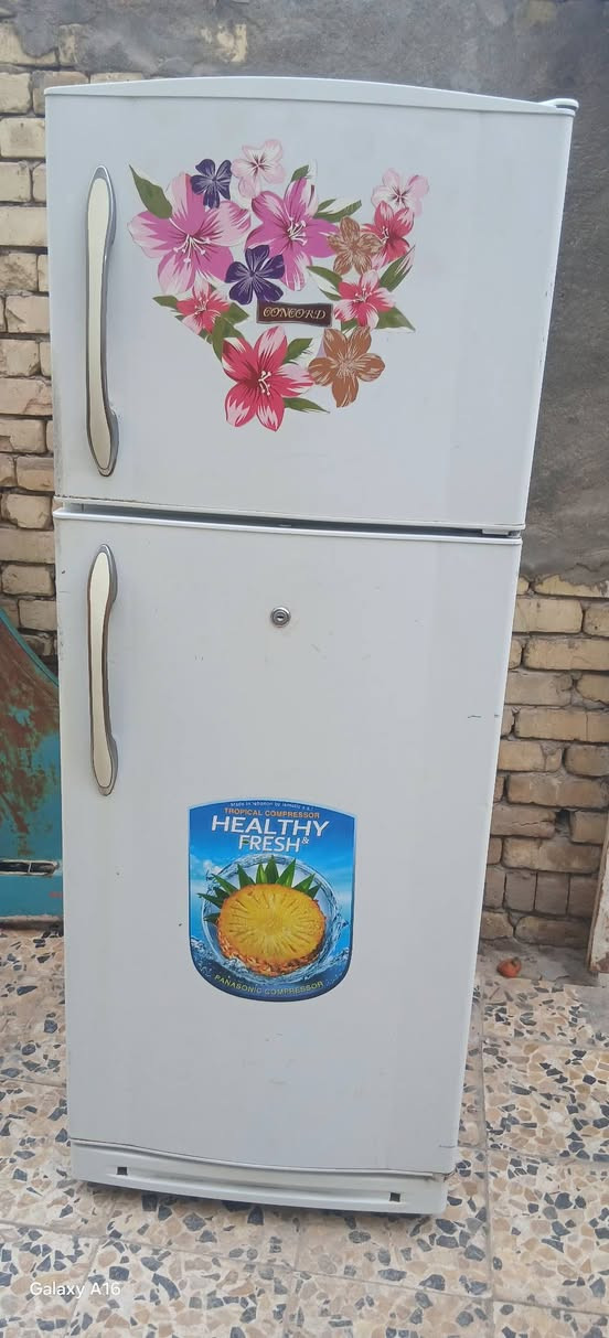 *********** 👉📞
