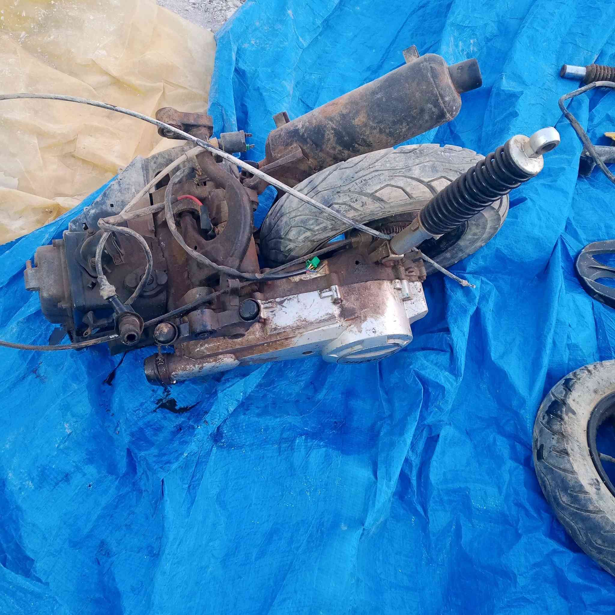 قيم واخذ كلشي بسعرة تفصيخ كوت انوار الصدر ***********
