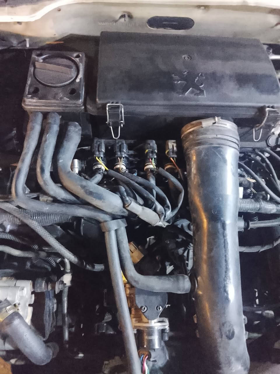 منضومه غاز كامله شغاله فول بيجو بارص للبيع
***********
