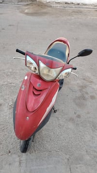 دراجة بريز • ببغاء • بصره معقل