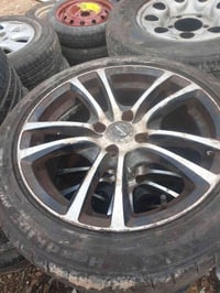 تخم البيع 07700073388