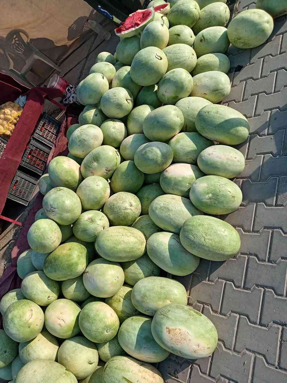 رگي جديد درجة اولئ جديد وشرط ب 450 حمار وحلاة
رگي جيل الطيبين
وخيار قلم ب 3 ب 2000
بطاطا 3 كيلوات ب 2000
انواع البصل 3 كيلوات ب 2000
باذنجان اسود 3 كيلوات ب 2000


**إذا كنت صاحب هذا الإعلان وتريد حذفه لأي سبب، رجاءا أرسل رسالة إلى الدعم الفني**