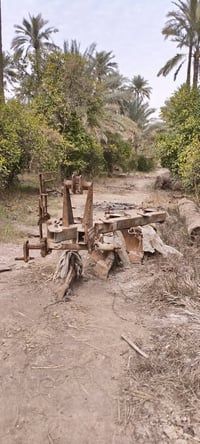 أرض للبيع • ١٦فدان