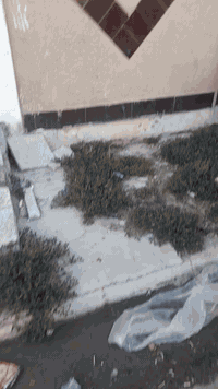 وبركاته  بيت للبيع فقط  البيت يتكون حسب وصف الفديومن طابق ارضي معزول ت...