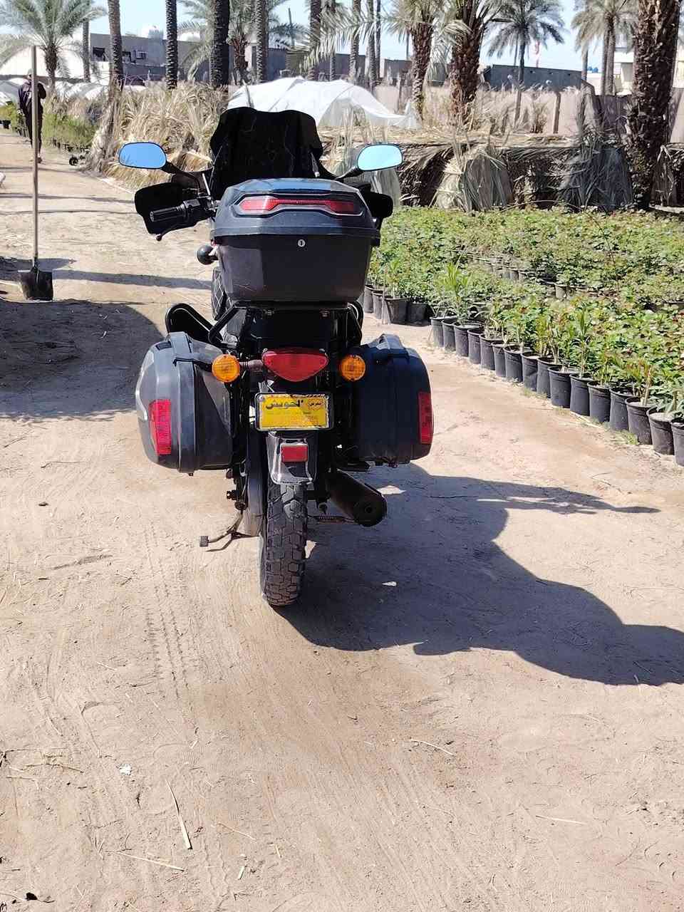 سلام عليكم بوكسر جبلي 2023للبيع
***********
