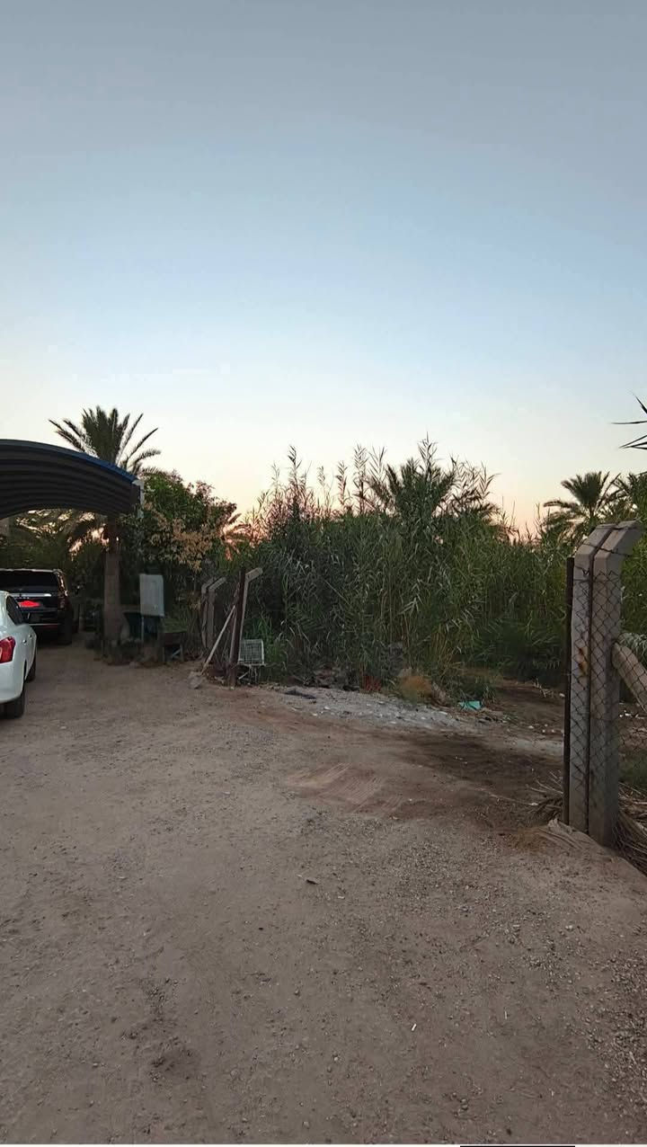 متاح 5 دوانم مع بيت بناء 300 متر مرمم بلكامل  جنس الارض طابو زراعي سند 25  تحويل مباشر الارض مجهزه  بكل شي ومزروعه والارض تحتوي علئ طريق خاص بجانب البيت عرضه 4 امتار ونص مع مجرئ السقي  7 امتار العنوان بابل طريق كربلاء راجع بغداد تبعد عن الشارع كربلاء بغداد ٥٠٠ متر شارعها تبليط ومجهزه بلكامل قريب سيطره الوند هور حسين الاستفسار اكثر الاتصال علئ الارقام التاليه :
وتساب 
***********
***********
السعر جدا مناسب
