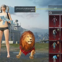 مستوى ٧٨ • ٢٦ سلاح • حساب نضيف