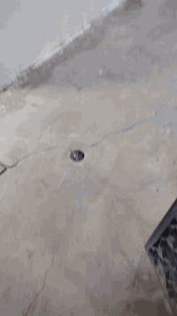 دار للبيع المساحه 144 متر قطاع 79 مقبل ام الكبر طابقين السقف عالي نضيف...