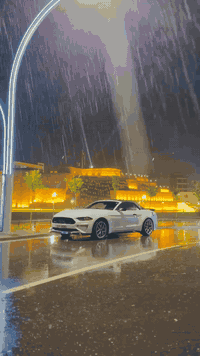 ((ارخص و انضف)) فورد موستنك موديل 2018 فول فول برنيوم بكل العراق 🤍🐎 
((سعرر 132 ورقه  ❤️‍🔥))
موصفات: 
(ايكوو پوست 4 سلندر) 
سياره جديد دينار مصرف مابيه كير مكينه بشرط 
فول 1/1 بريميوم
اربع سلندر 2.3 تيربو
لون ابيض 🤍 
سقف كشف
كشنات جلد 
كشنات كهرباء 
كشنات تبريد وتدفئة
شاشة كبيرة 
نضام كاربلي واندويد
دشبول 7 الوان
لايت زنون بلادي
خمس مودات قيادة
شفتات بالستيرن
كير 10 نمر
تبريد فول ومناخ منفصل
حساسات خلفية
كامرة خلفية دوارة
تشغيل عن بعد مع بصمة ابواب 
داخل لونين 🧡 🖤
علامة الحصان ضوئية بالمري
هيتر بالمري
((كير مكينة بشرط تريك وين ماا تريد )) مكينه ماا مفتوح بشرط
(رقم سنوي جديد رقم اربيل تحويل اول يوم)) سنوي لل 2030
ماشية 81 ميل
حادثه :: بيه (فقد 2 قطعة صبغ) (3 قطع تبديل) حادث خفيف جدا هذا رقم شاصي ⬇️
1FATP8UH5J5155399
سعرر سياره ((132 ❤️‍🔥)) ورقة

عنوان سياره ((زاخوو قريب عن دهوك 💟))

للاستفسار اتصل بهذا ارقام ⬇️

***********

واتساب موجود بيهم 
***********
