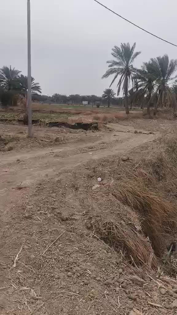 دونميين ونص بيهه بستان وبيت طابق واحد غرفتين ومطبخ وصحيات داخليه و خارجيه ومدخل وبراني وصاله مكانهه ع الحولي الجديد مال الهلالات.للتواصل ***********
