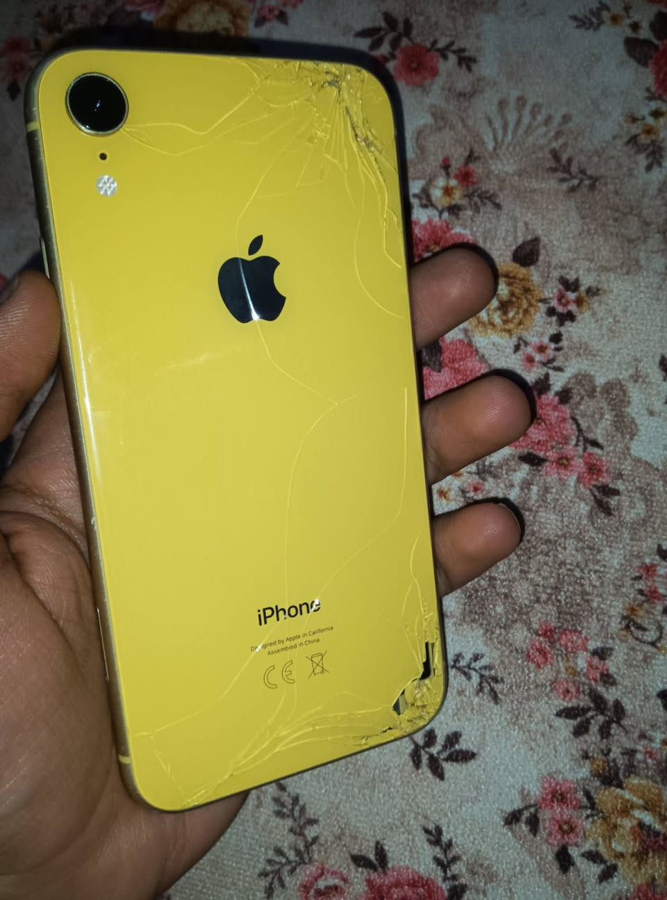 سلام عليكم جهاز آيفون xr جهاز مبدله شاشته فيس إيدي واقف بطارية 77 مفطرة الشاشة و الظهر بس ابد ما مأثر على اللمس جهاز حلو و مابيه شيء للبيع أو للمراوس


**إذا كنت صاحب هذا الإعلان وتريد حذفه لأي سبب، رجاءا أرسل رسالة إلى الدعم الفني**