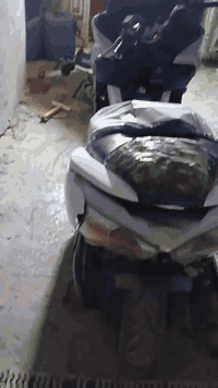 دراجة للبيع فورزة كلة كاملة نضيفة مكاني بغداد الشعب سعر 800وبية مجال للشراي اتصال ***********
