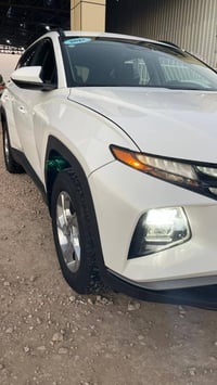 توسان • ٢٠٢٤ • بابل شوملي