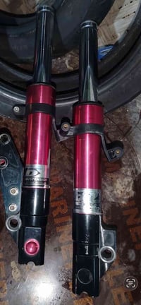 صدر سكنس • قفايص • مكفول